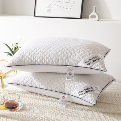 Adult Home Use Velvet Feather Pillow