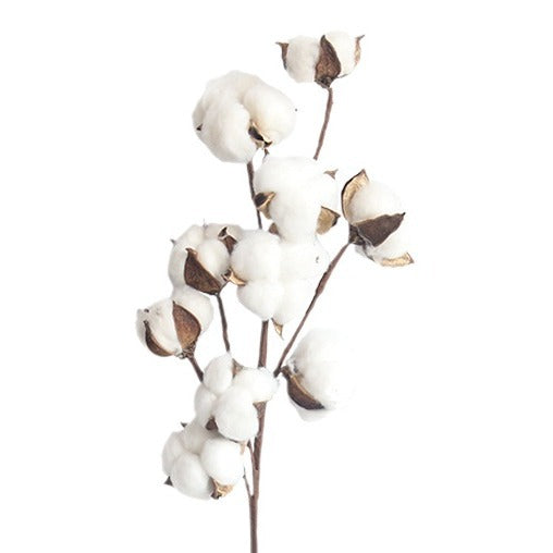 Artificial Cotton Stem for Decor