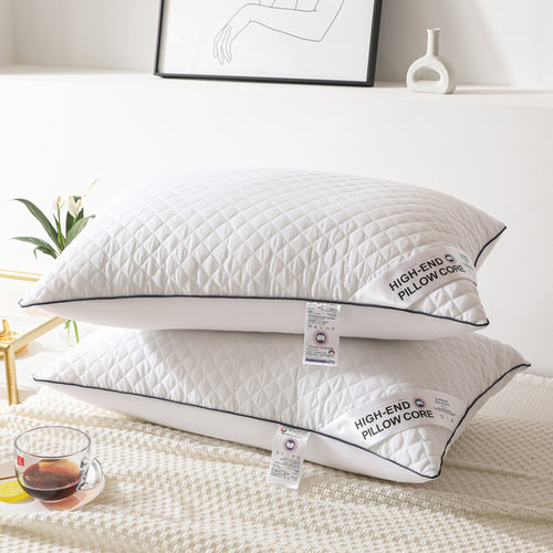 Adult Home Use Velvet Feather Pillow