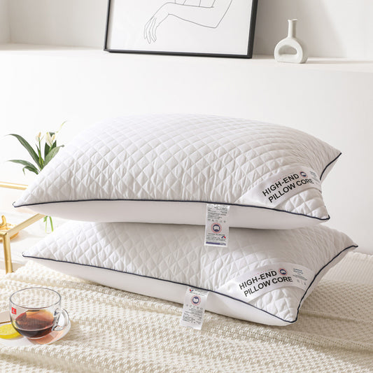 Adult Home Use Velvet Feather Pillow